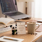 🐼Spy Felt Pocket Hug Set