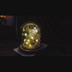 Enchanted Forest Mushroom Lamp – Healing Crystal Nightlight
